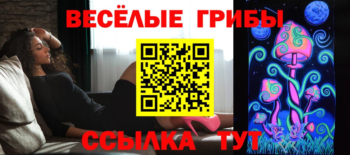 Псилоцибиновые грибы мухоморы Иваново