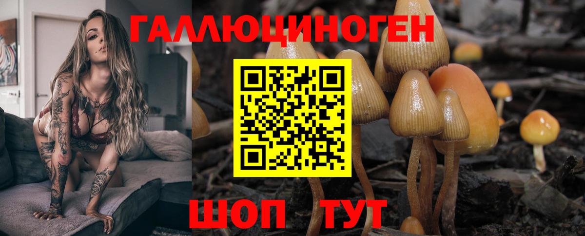 Иваново  Псилоцибиновые грибы GOLDEN TEACHER  Вход с VPN  Псилоцибиновые грибы MAGIC MUSHROOMS 